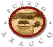 Puerto Arauco