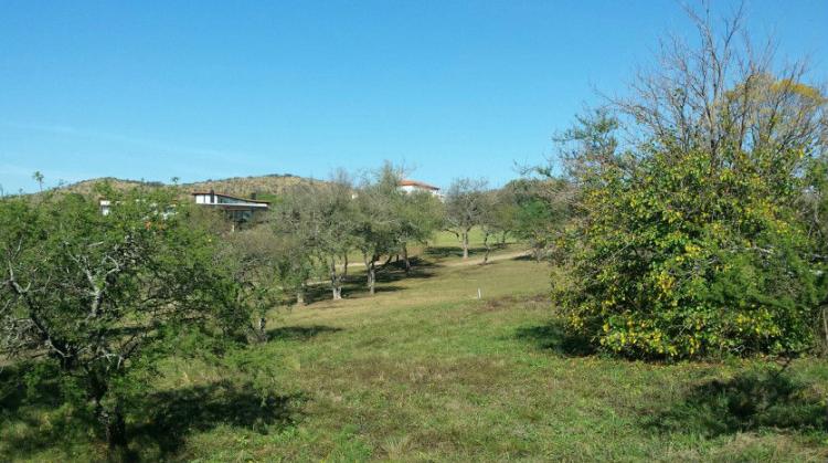 Terreno en venta en Potrerillo de Larreta; 1638 Mts2 OPORTUNIDAD !!!