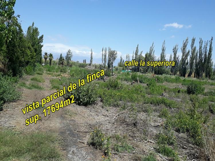 Finca Agrícola en venta-  17.694m2 –km8 – Guaymallén- Mendoza.