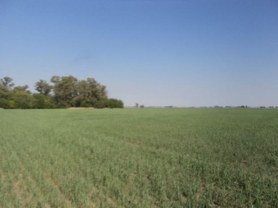 Foto Campo en Venta en Villa Mugueta, Santa Fe - U$D 840.000 - CPV107810 - BienesOnLine