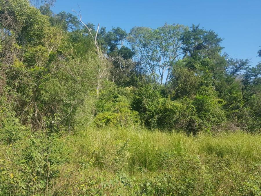 Foto Campo en Venta en Tatane, Formosa - U$D 550 - CPV118529 - BienesOnLine