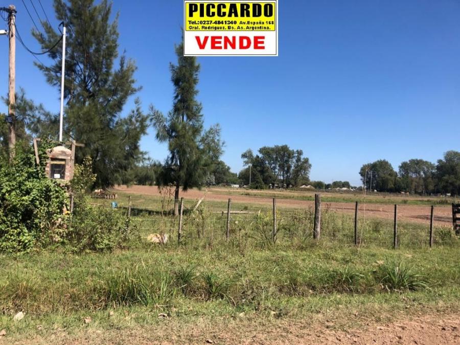  DOS LOTES EN VENTA Bº VISTA LINDA REF.AR100 GRAL. RODRÍGUEZ PICCARDO