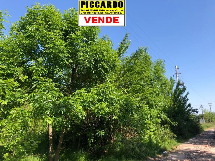  DOS LOTES EN VENTA Bº PARQUE JOLY REF.AR110 GRAL. RODRÍGUEZ PICCARDO