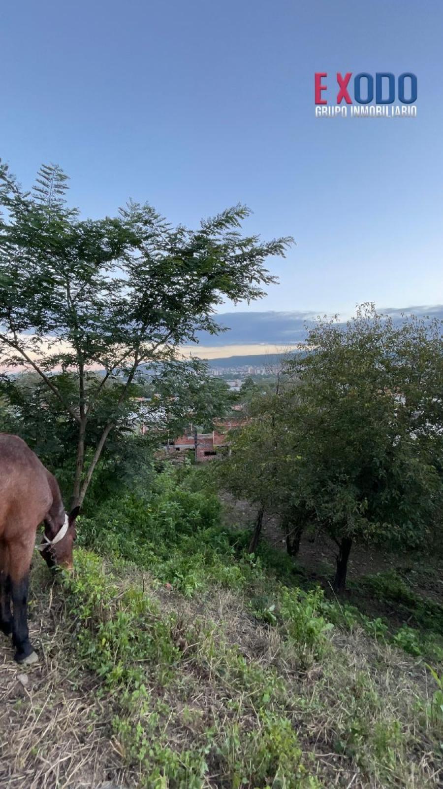 VENTA TERRENO B° BAJO LA VIÑA 