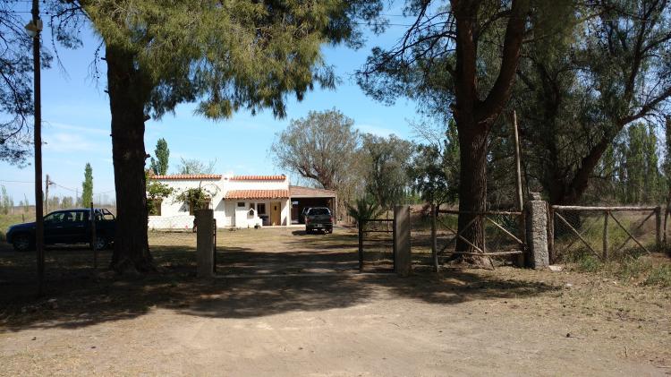 1 1/2hectarea en General Álvear ( la marzolina) con casa sobre asfalto toda la documentación al día.