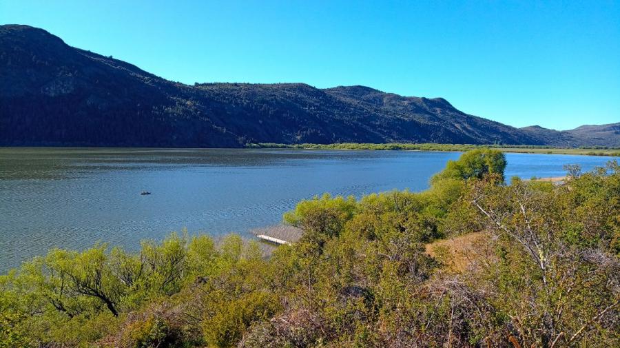 1,6 ha en cholila con costa de lago