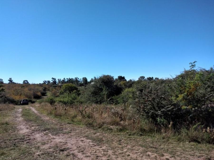 Foto Terreno en Venta en Los Reartes, Córdoba - U$D 11.000 - TEV118084 - BienesOnLine