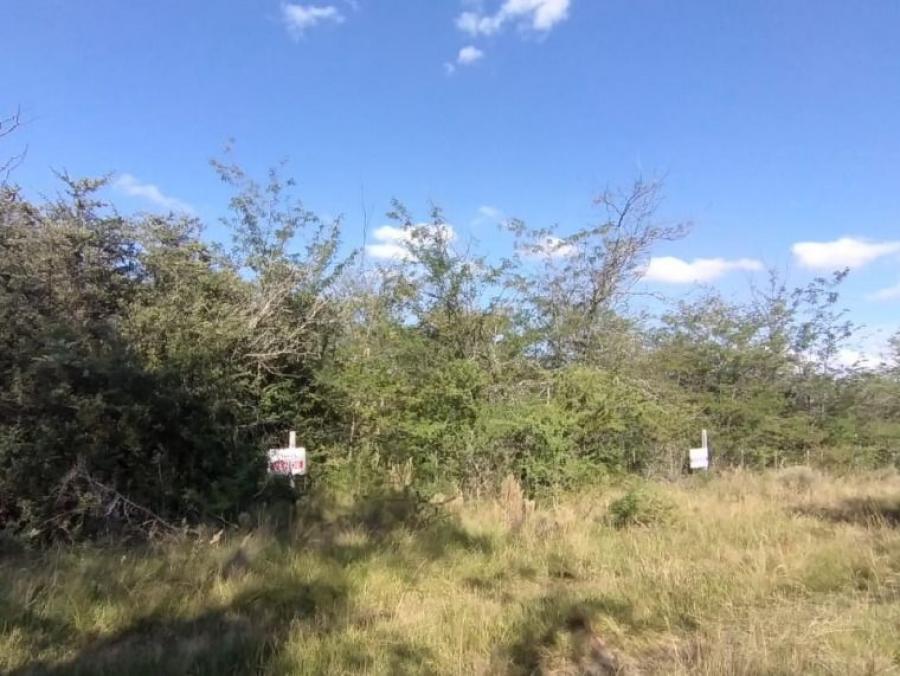 Foto Terreno en Venta en Los Reartes, Córdoba - U$D 14.000 - TEV117797 - BienesOnLine