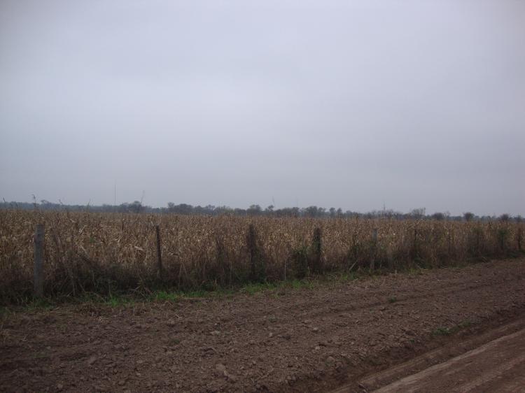 Foto Campo en Venta en Tres Isletas, Chaco - U$D 9.700.000 - CPV91897 - BienesOnLine