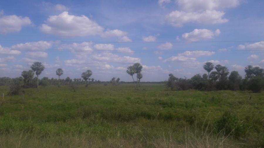 Foto Campo en Venta en El Colorado, Formosa - U$D 650 - CPV117611 - BienesOnLine