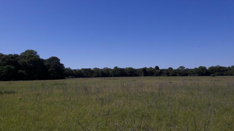 Foto Campo en Venta en El Colorado, Formosa - U$D 9.000.000 - CPV91555 - BienesOnLine