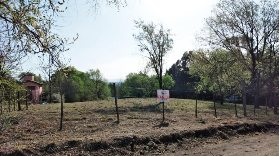 Foto Terreno en Venta en Los Reartes, Córdoba - U$D 98.000 - TEV118117 - BienesOnLine