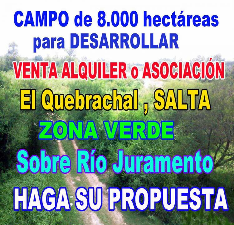 Alquiler, Asociación o Venta CAMPO de 8.000 ha ubicado en ZONA VERDE, Metán, Salta 