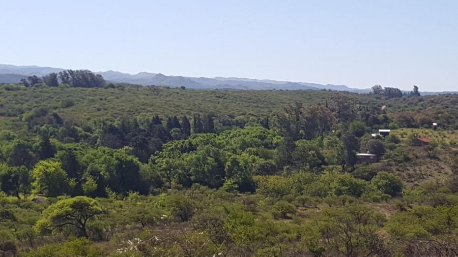 Campo 11 hectáreas ojo de agua,cisterna tipo tanque australiano, alambrados, tranquera vista divina!