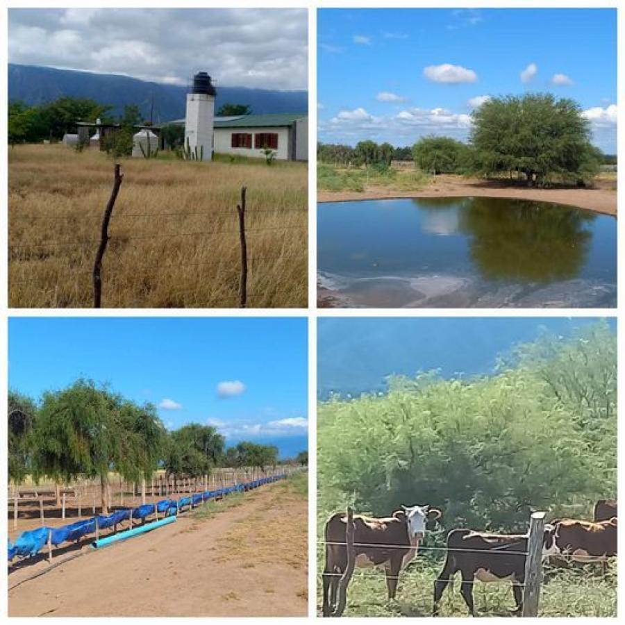 Foto Campo en Venta en capital, Catamarca - U$D 1.600.000 - CPV117669 - BienesOnLine