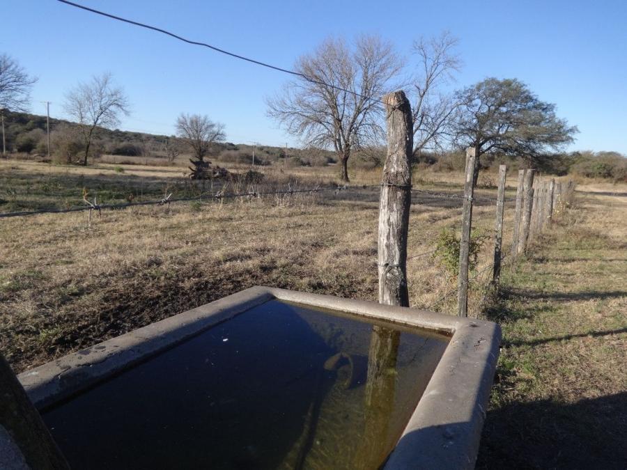 La Granja Campo 4,5 hectáreas,llano, chacra 100%, a metros de la ruta!