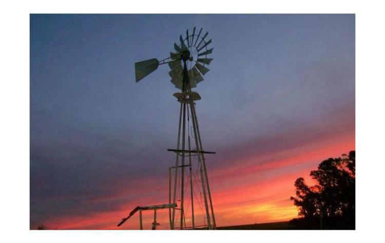 CAMPO DE 250 HS EN VILLARINO