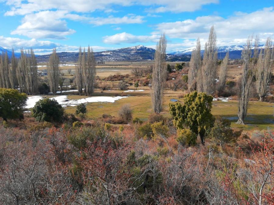 Campo de 52 has con arroyo Cholila