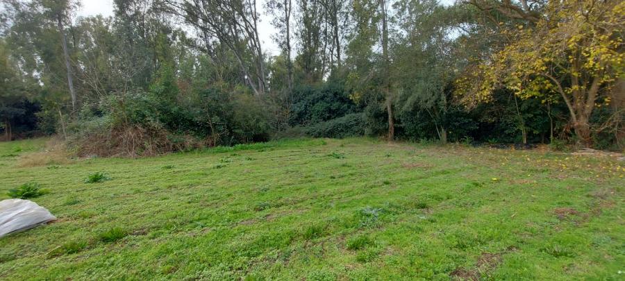 Foto Campo en Venta en Olmos, La Plata, Buenos Aires - 12 hectareas - U$D 415.000 - CPV117706 - BienesOnLine