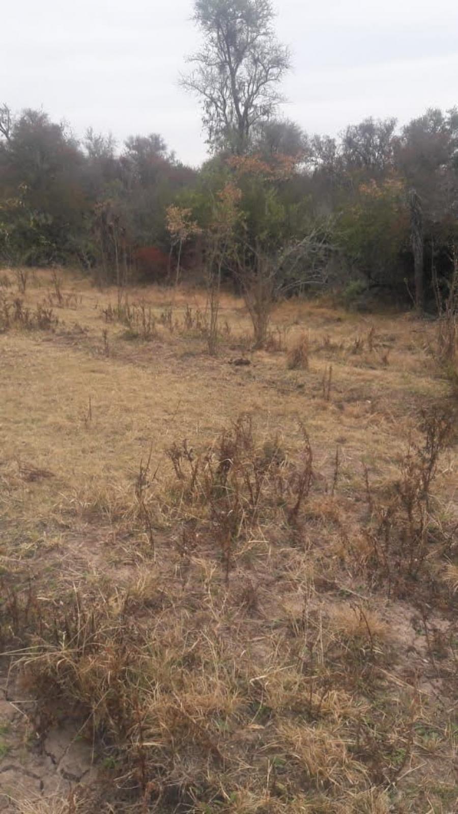 Foto Campo en Venta en Brown, Teniente Brown, Formosa - 300 hectareas - $ 80.000 - CPV110275 - BienesOnLine