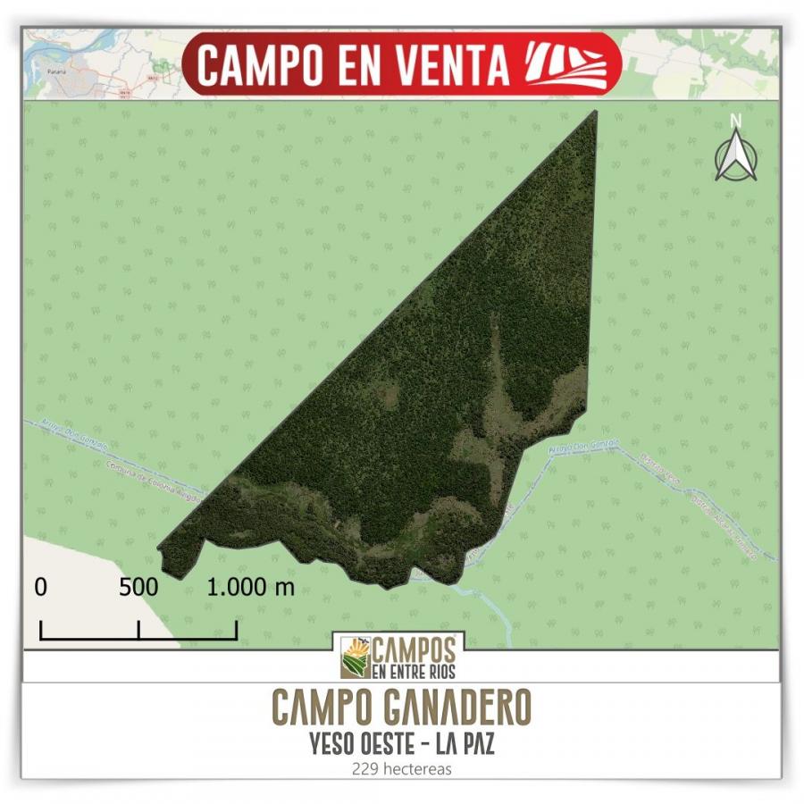 Foto Campo en Venta en La Paz, Entre Rios - 229 hectareas - U$D 1.700 - CPV118165 - BienesOnLine