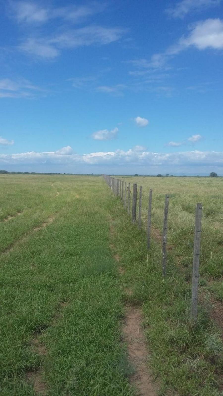 Campo ganadero, tranquera cerrada. Cordoba