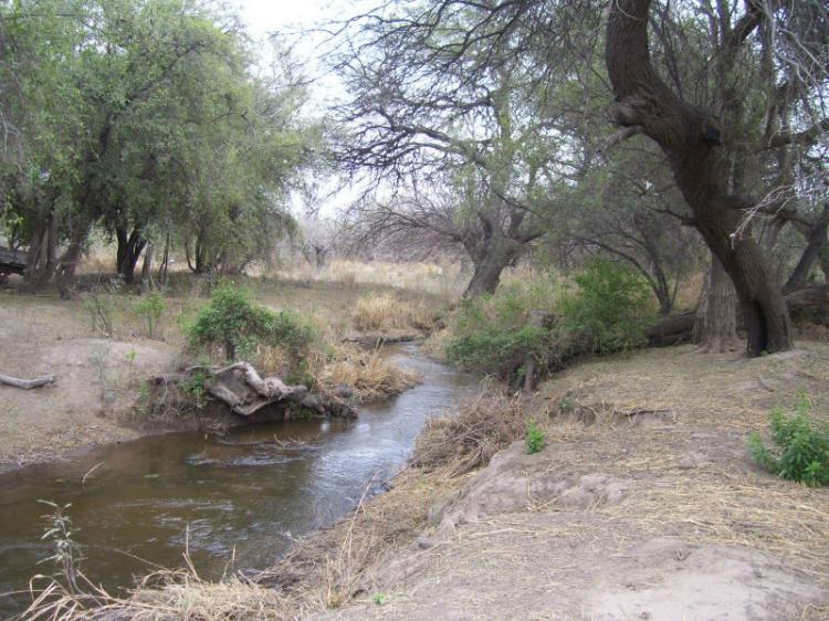 Campo de 200 ha. en Cruz del Eje c/riego de dique , Agricola - mixto