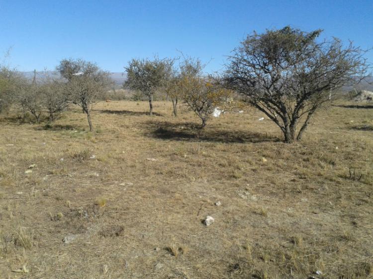 CAUSANA- 2 HERMOSOS LOTES DE 2.200 M2 C/U- GAS NATURAL!