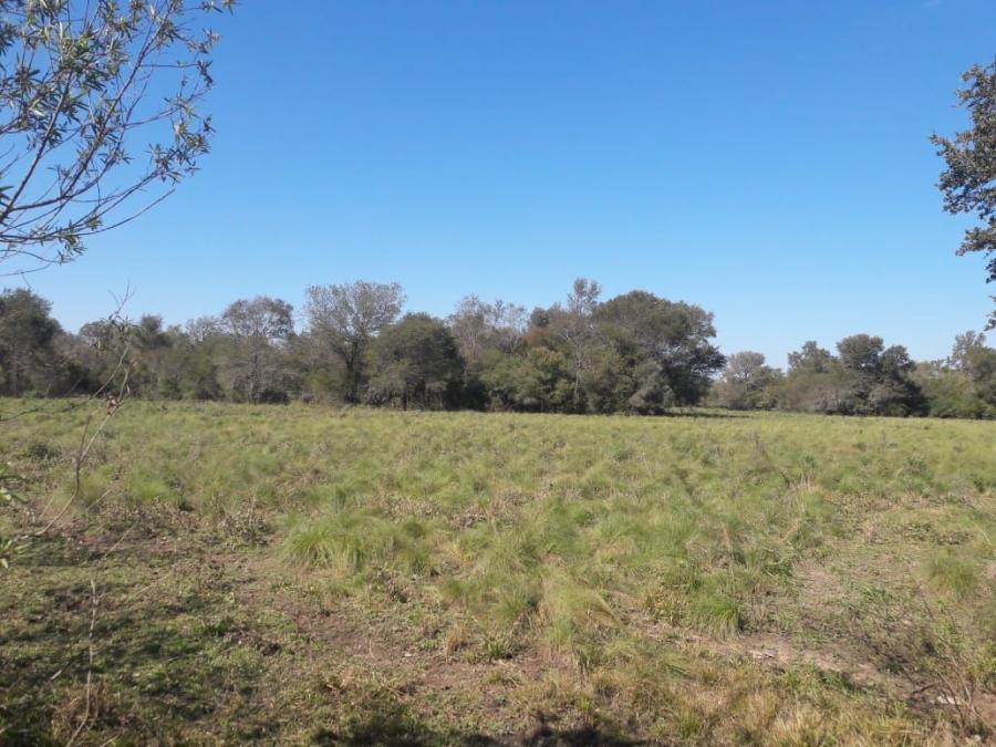 Foto Campo en Venta en La Verde, Chaco - U$D 1.200 - CPV109699 - BienesOnLine