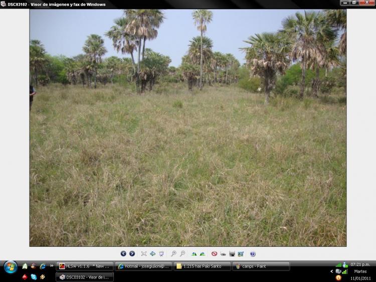 Foto Campo en Venta en Colonia Pastoril, Formosa - U$D 1.750.000 - CPV86258 - BienesOnLine