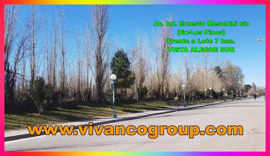 Fracción 7 has. - Ideal para loteo - Localidad de Vista Alegre Sur - Provincia de Neuquén