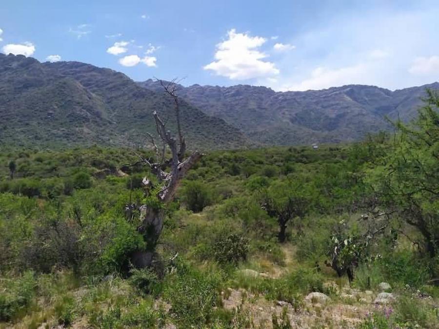 FRACCIÓN EN SAN MIGUEL DE CORTADERAS - MERLO SAN LUIS