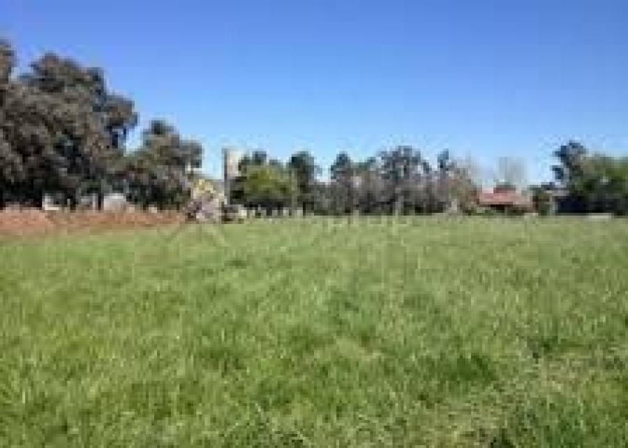 GRAL RODRIGUEZ TERRENO DE 5000 M2 SOBRE Ruta 24 EN ZONIFICAION  INDUSTRIAL III EN VENTA