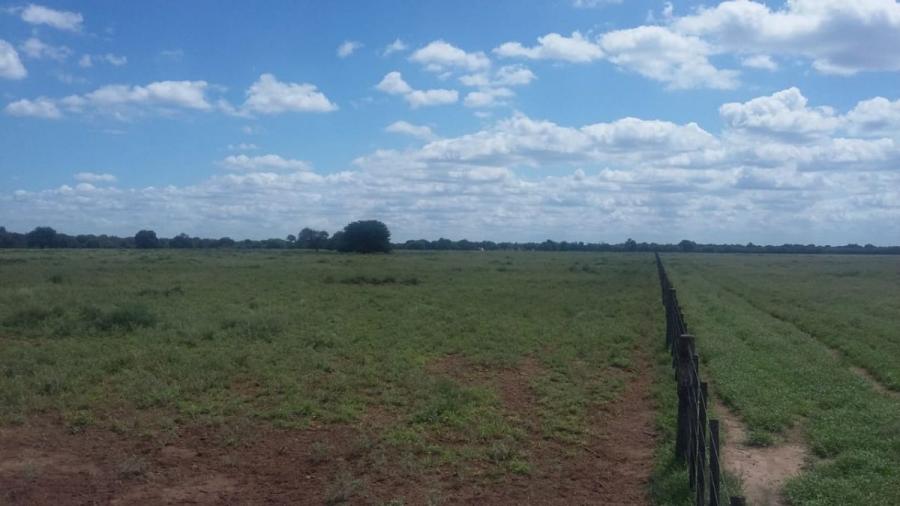 Foto Campo en Venta en Cruz del Eje, Córdoba - 1600 hectareas - U$D 1.300.000 - CPV106227 - BienesOnLine