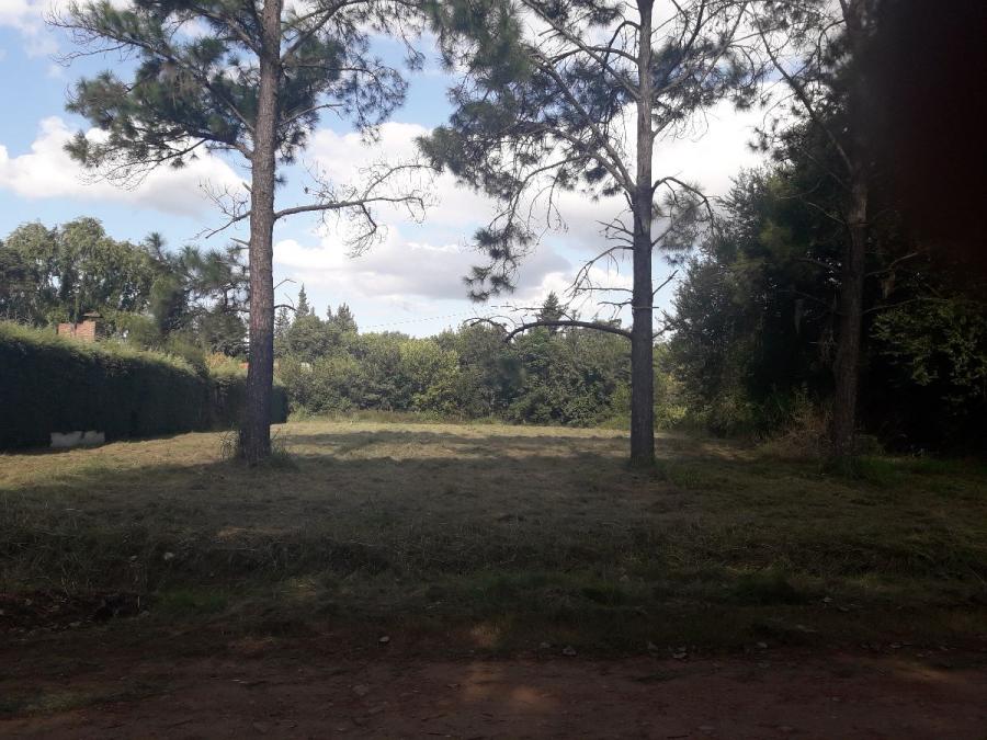 hermoso lote en garita 18 a metros de ruta 9