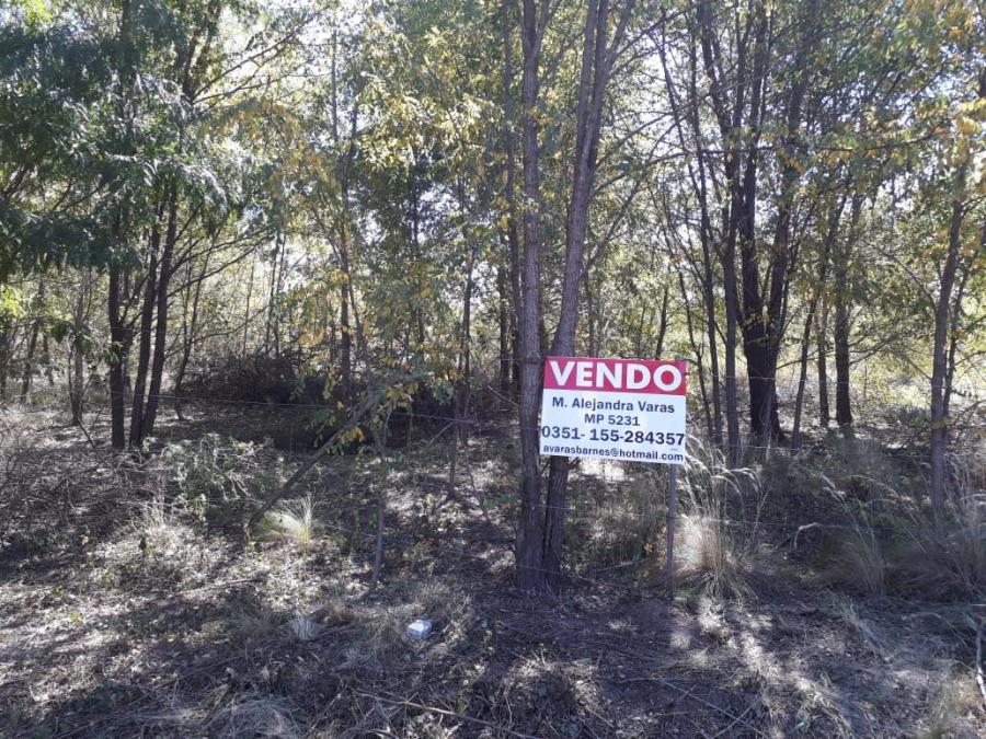 Foto Terreno en Venta en El Vergel, Los Reartes, Córdoba - U$D 11.500 - TEV111805 - BienesOnLine