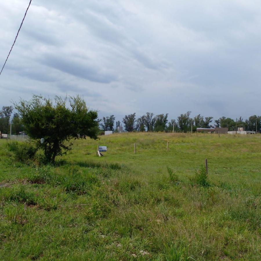 LOTE EN VENTA LOS TALAS - ANISACATE CON ESCRITURA