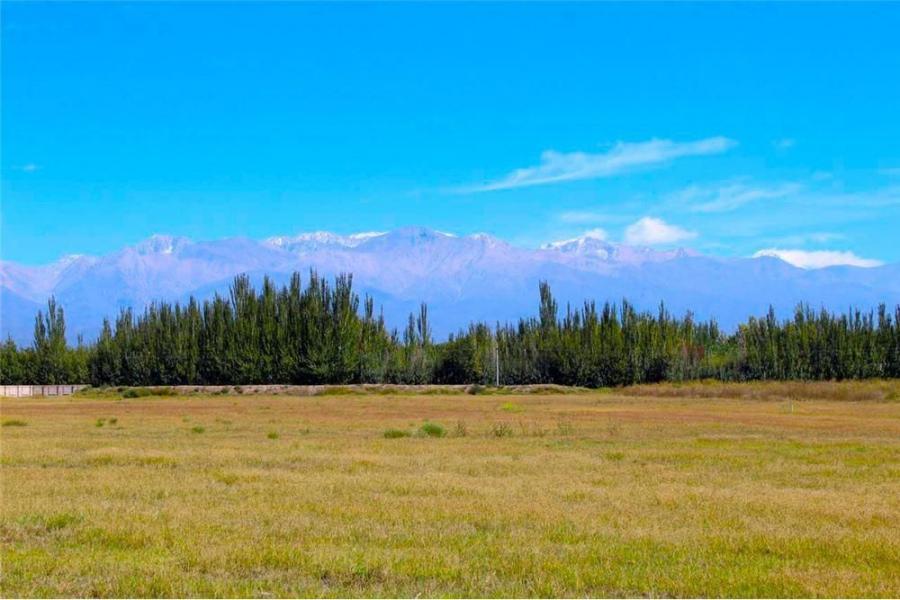 Lotes en Mendoza