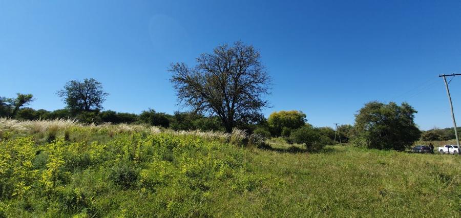 Lotes y hectáreas casi llanos y vista en venta!