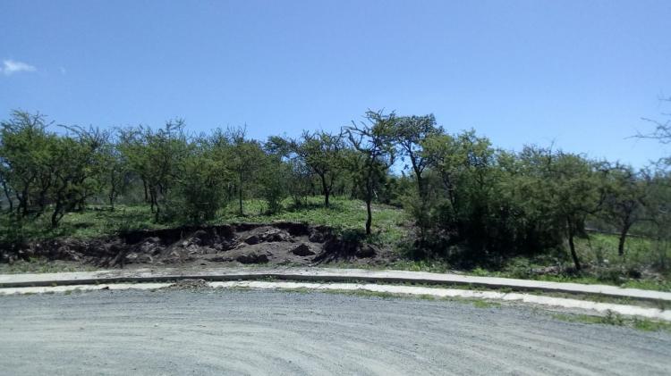 Oportunidad, excelentes lotes en el Talar de Mendiolaza