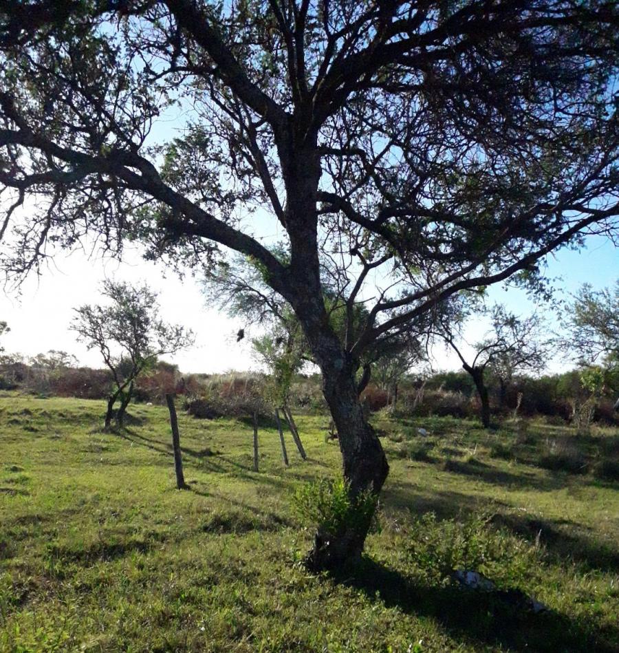 Foto Terreno en Venta en Gualeguaychú, Entre Rios - U$D 80.000 - TEV108860 - BienesOnLine