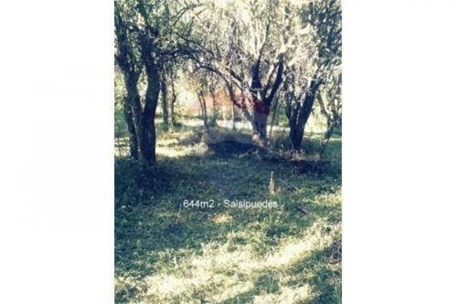 Foto Terreno en Venta en Salsipuedes, Córdoba - $ 240.000 - TEV100257 - BienesOnLine