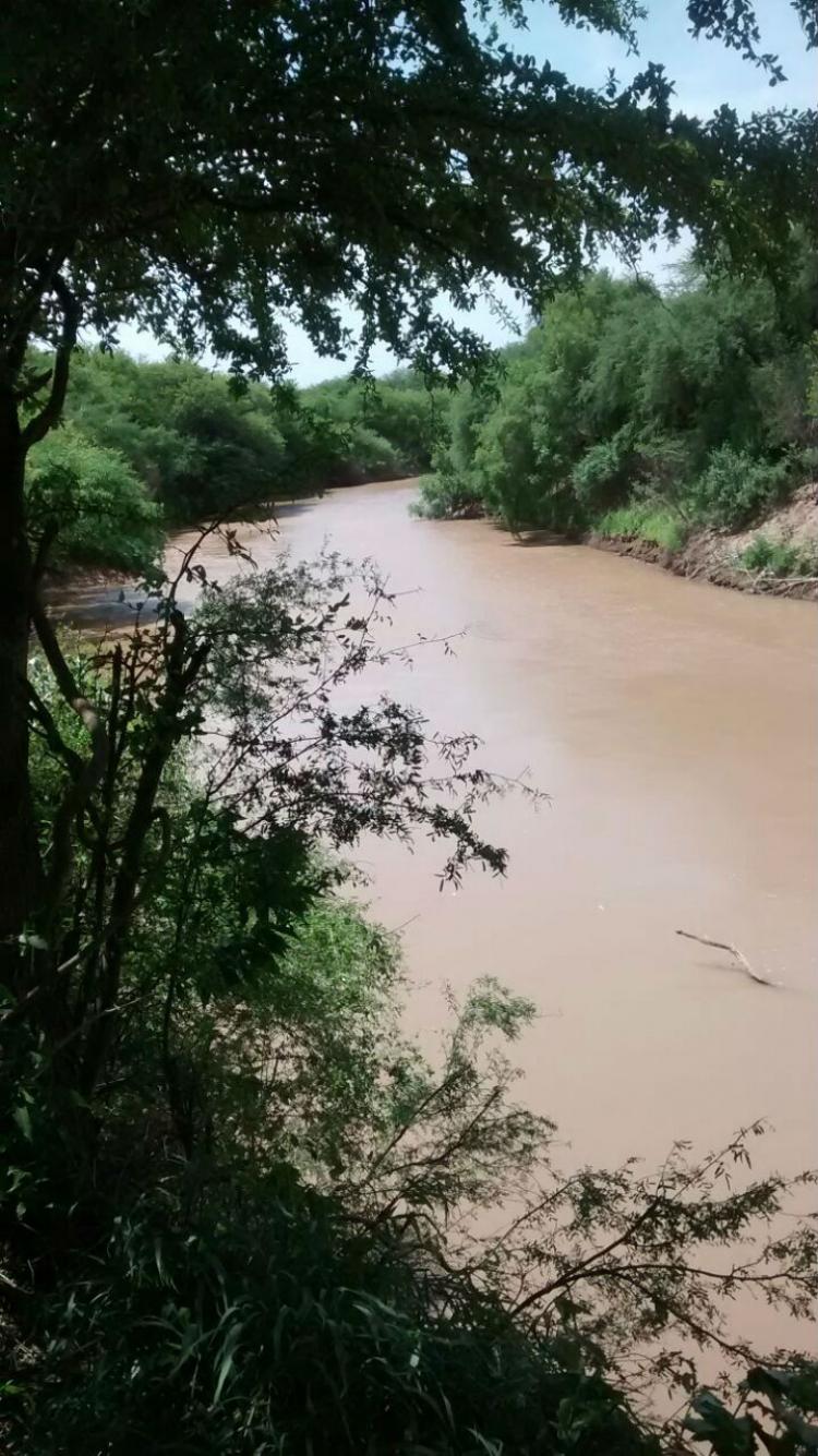 SE VENDEN 500 HAS SOBRE RUTA A ORILLAS DEL SALADO