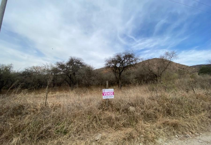 Se venden lotes en La Paisanita 