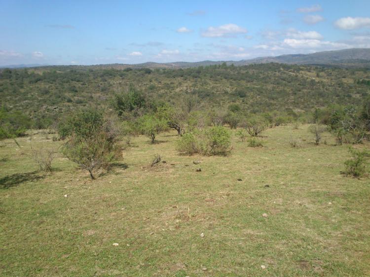 TANTI- HERMOSOS LOTES CON ESCRITURA- FLOR SERRANA- VISTAS PANORAMICAS!