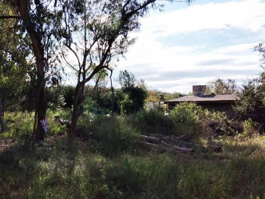 Foto Terreno en Venta en Los Reartes, Córdoba - U$D 10.500 - TEV117434 - BienesOnLine