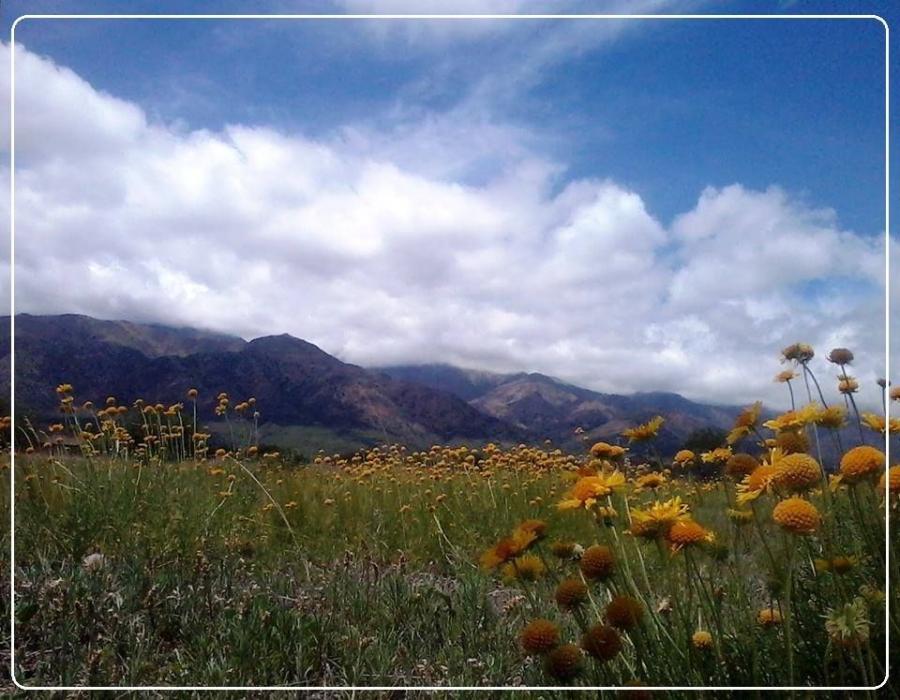 Terreno con agua y luz. Escritura Pública. Sierras. En Pesos o en Dolares.