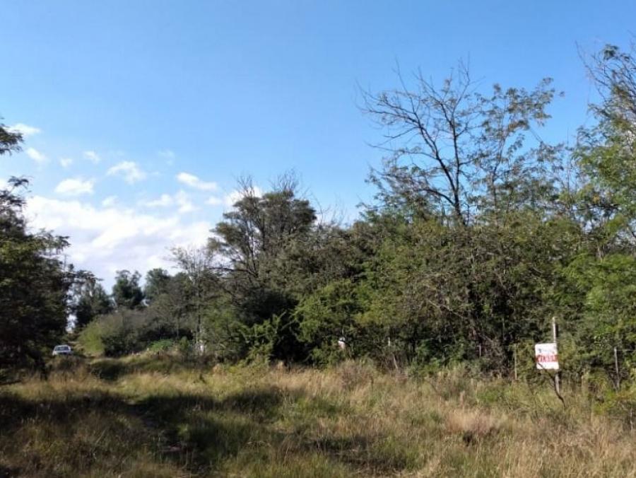 Foto Terreno en Venta en Los Reartes, Córdoba - U$D 14.000 - TEV117754 - BienesOnLine