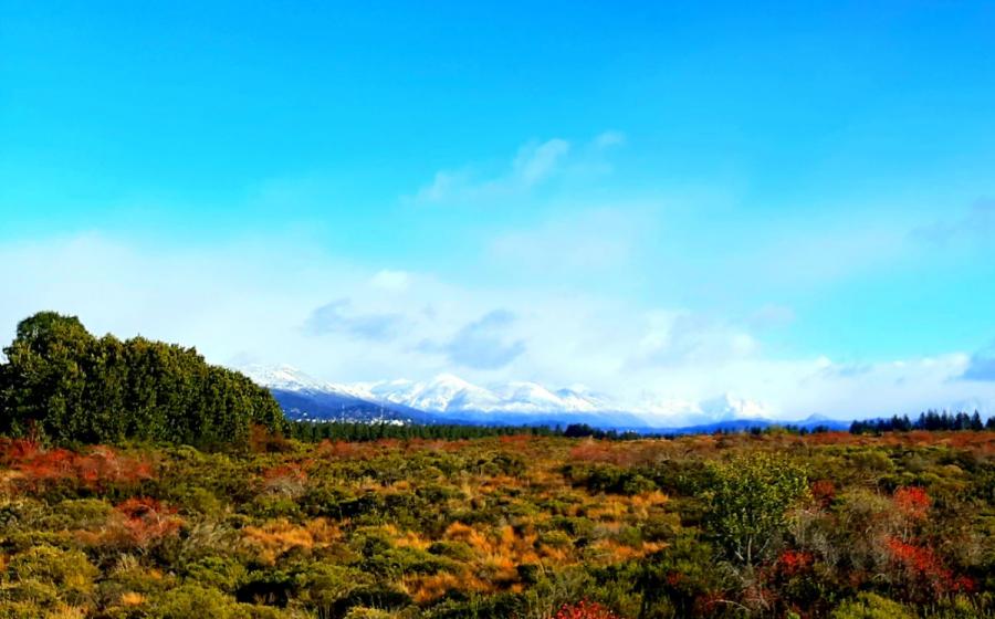 Terreno en Bariloche, zona este