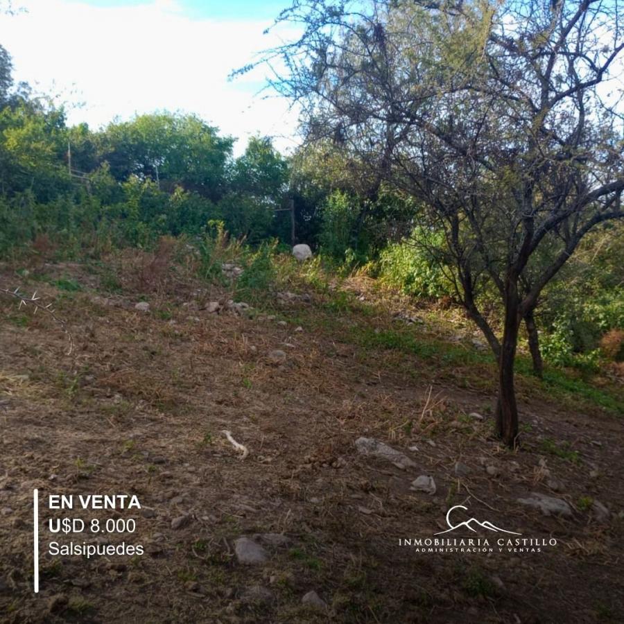 Foto Terreno en Venta en Salsipuedes, Córdoba - U$D 8.000 - TEV117652 - BienesOnLine